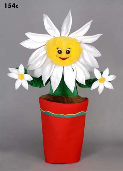 Mascotte bloem in pot-30