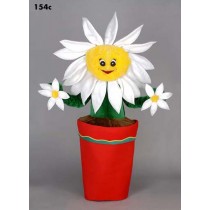 Mascotte bloem in pot-10